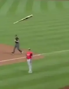 Dad Saves Sons From Flying Bat