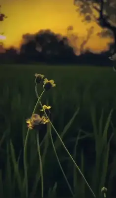 #10M