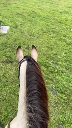 ❤️❤️❤️