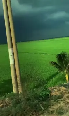 my new video follow me #10M #iPhone #amazing...
