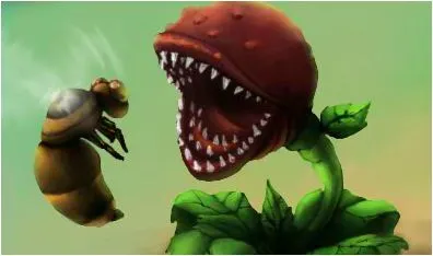 Plants Hate Insect