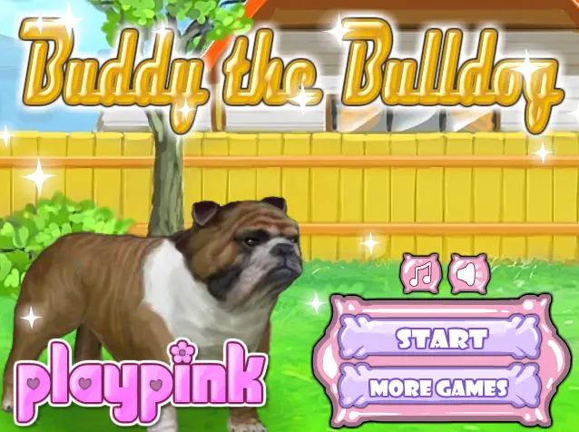 Buddy the Bulldog