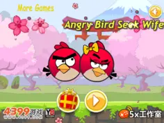 Angry Bird Seek Wife