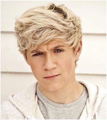 how will you describe Niall?