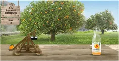 Innocent Catapult
