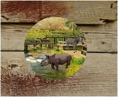 Hidden World: Animals