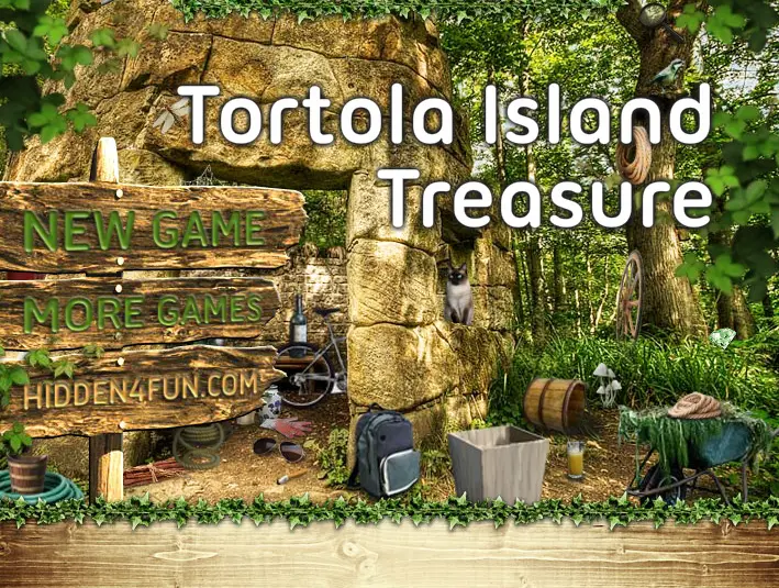 Tortola Island Treasure