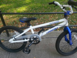Tony Hawk 20 inch bike